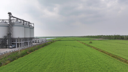 Naklejka premium Modern large grain storage facility next to green agricultural fields