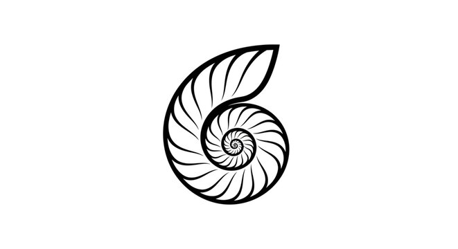 Golden Ratio Nautilus Shell Fibonacci Spiral Line Art Vector. Elegant Sacred Geometry Nature Pattern. Perfect Minimalist Design Illustration.