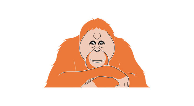 Smiling orangutan with a happy face.