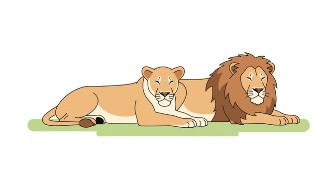 Lion and lioness lying down together.