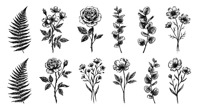 Black grunge botanical set with flowers leaves and fern sketches