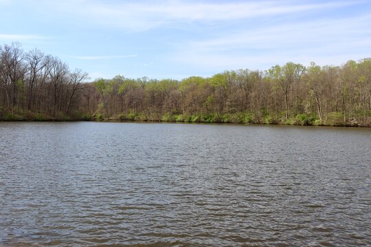 The quiet pond in the park on a sunny day.