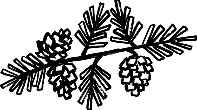 Bold hand drawn evergreen branch with pine cones