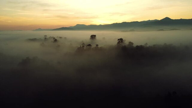 Observing Misty Mountain Landscape at Sunrise