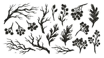 Hand drawn black branch and berry silhouette collection © Alan