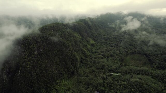 Exploring Misty Green Valley from Above in Aerial Scene