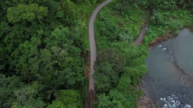 Streaming through lush greenery on a winding road beside the water