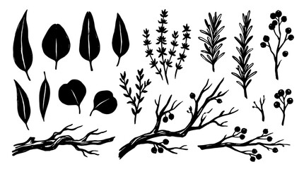 Set of black hand drawn leaf twig and berry silhouettes © Alan