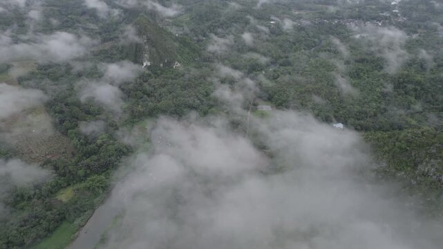 Traveling Over Misty Mountains and Clouds in Dense Forest