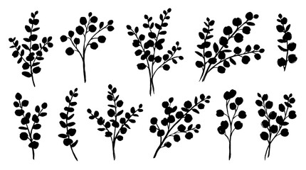 Set of black eucalyptus branches with round leaves silhouettes © Alan