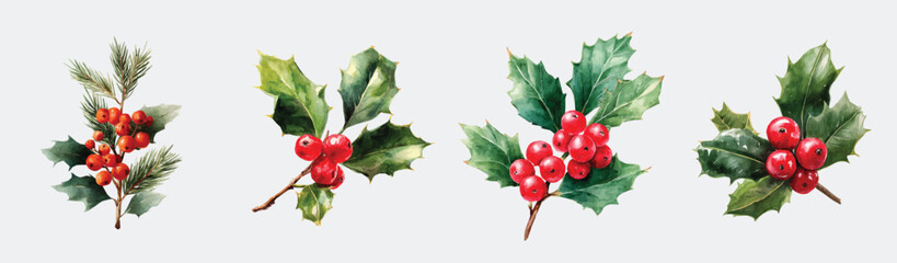 Illustration of big Christmas holly berries painting design set, Hand-painted style, vectorized, vector set available in EPS, Simple Hand-painted watercolor style, vector set available in EPS © Zizak