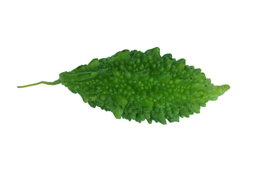 Fresh momordica charantia or bitter melon on png background vegetable with healthy benefits.