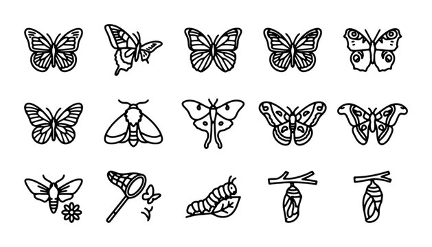 Butterfly and Moth Vector Icons Set, Insect Life Cycle Graphics, Nature Elements Collection