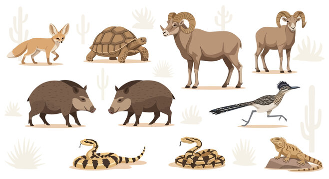 Desert Wildlife Animals Collection Set - Fennec Fox, Tortoise, Bighorn Sheep, Javelina, Roadrunner