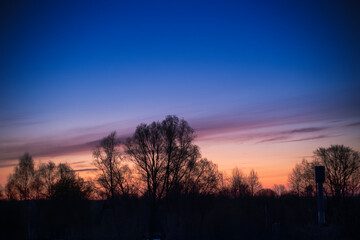 Fototapeta premium Beautiful twilight sky over dark silhouettes of trees at sunset or sunrise