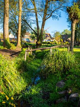 Zwischen alten B&auml;umen, glitzerndem Wasser und diesem kleinen Bachlauf. Der Weg bog sich wie ein vergessener Satz durch den Park, und irgendwo zwischen Vogelstimmen und Sonnenflecken dachte ich: Vielle