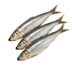 Fototapeta premium Three fresh silver sprats arranged on black background