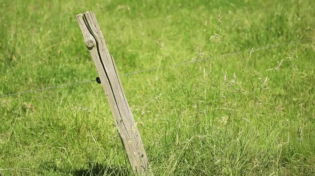 Old wooden fence pole and electric wire at a pasture green grass meadow on a sunny day in Germany, Europe