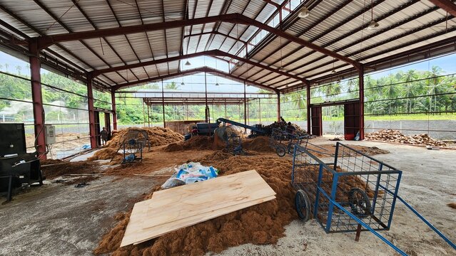 cocopeat