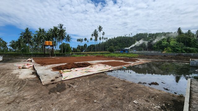 cocopeat