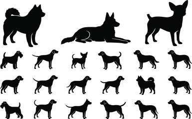  Dog breeds silhouette vector bundle with black shapes of domestic puppies like german shepherd siberian husky and chihuahua isolated on white © Partho
