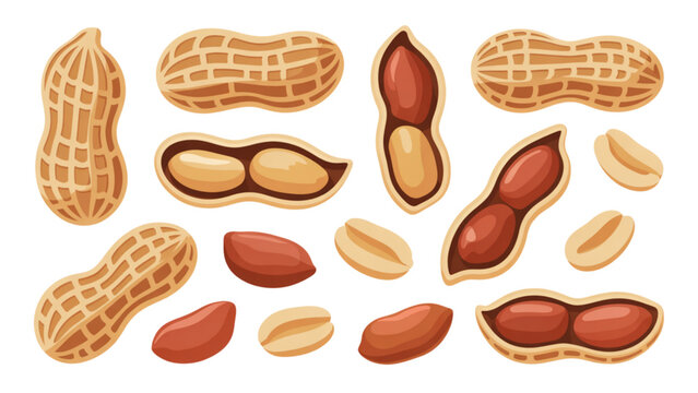 Set of fresh peanuts in shells and peeled kernels in pixel art style