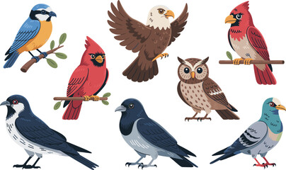 Obraz premium Set of cartoon birds in flat style, isolated vector illustration for wildlife designs