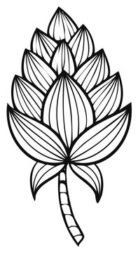 Abstract illustration of a hop flower for design or decorative use