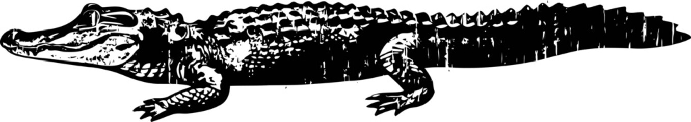 Naklejka premium Alligator illustration in black and white, reptile silhouette with detailed scaly skin and tail