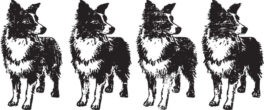 four black and white border collie dog silhouettes standing in a row, facing left