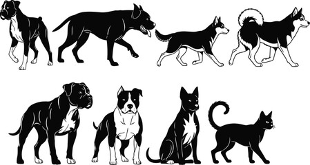 Domestic Dog and Cat Silhouette Collection Featuring Boxer, Shepherd, Husky, Pit Bull and Black Cat Vector Illustrations © bipul stok