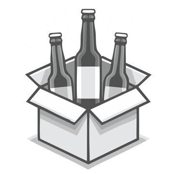 Three Glass Bottles of Beer in an Open Cardboard Box Packaging