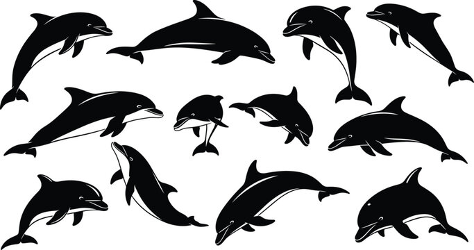 Silhouettes of dolphins in swimming and jumping poses, showcasing ocean wildlife motion, marine diversity, and aquatic design inspiration for artwork