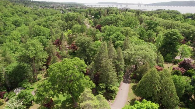 Aerial Drone View of Lush Green Park and Hudson River Bridge