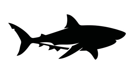 Naklejka premium Black Silhouette of a Great White Shark swimming, isolated on white background.