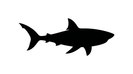 Fototapeta premium Black Silhouette of a Great White Shark on a White Background