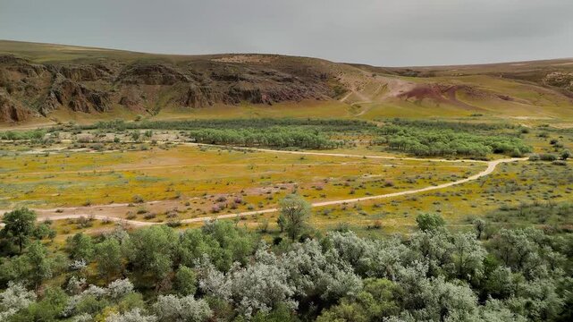 Aerial View of Ili River in South Kazakhstan