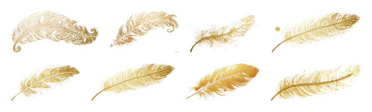 PNG Elegant golden feather collection, transparent background