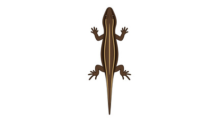 Fototapeta premium Brown Lizard with Stripes Top View Illustration PNG Isolated on transparent background