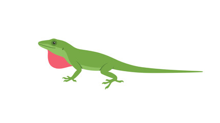 Fototapeta premium Green anole lizard with dewlap extended illustration PNG Isolated on transparent background