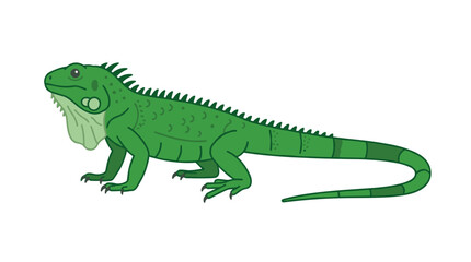 Fototapeta premium Green Iguana Reptile Illustration Standing Side View PNG Isolated on transparent background