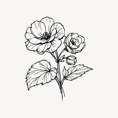 Obraz premium Elegant floral sketch art
