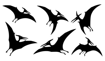 Flying Pterodactyl Dinosaur Silhouette Collection with Different Prehistoric Reptile Pose Vector Set © Boloram