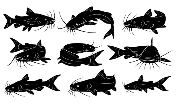 Catfish Silhouette Collection with Different Freshwater Fish Poses Vector Illustration Set
