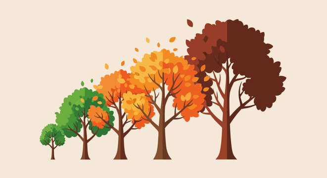 Trees Changing Seasons Colorful Illustration.