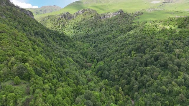 Cinematic aerial drone footage of lush green forested mountains in summer, scenic 4K nature landscape.