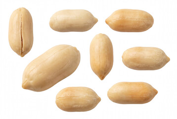 Obraz premium Collection of Shelled and Blanched Peanuts