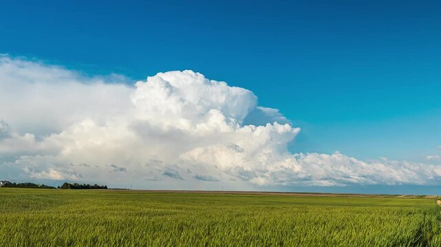 Distant Supercell Moving Away Over Farmland at Golden Hour Timelapse