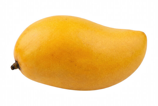 Single Ripe Yellow Mango Fruit