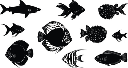 Marine Fish Silhouette Collection Featuring Shark, Angelfish, Goldfish and Puffer Species for Ocean Wildlife Vector Illustration Designs © boishakhisarker